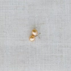Grenada Brushed Gold Earrings {Size Options}