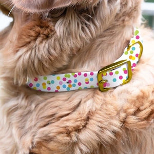 Dog Collar {Size and Print Options}